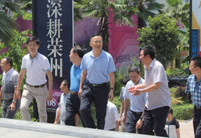 2014年8月13日 自贡市委副书记谭豹在星河地产调研
