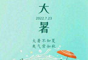 岚泊湾丨大暑不知夏 爽气常如秋