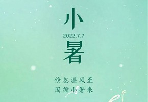 岚泊湾丨蝉鸣声声小暑至，闲坐瓜田等风来