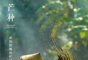 枫丹郡丨每份忙碌，都是幸福的种子