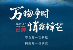 岚泊湾丨万物争时，悄露锋芒