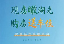 岚泊湾 | 现房瞰湖光 购房送车位