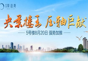 岚泊湾丨已巅峰再登峯！5#楼王，8月20日强势加推！